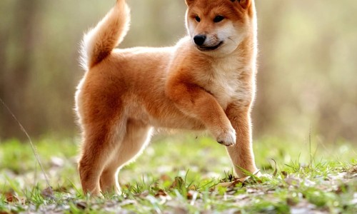 颗粒型避孕套的感觉怎么样-颗粒型避孕套的感觉网—知名的颗粒型避孕套痛吗网站,分享颗粒型避孕套的危害知识